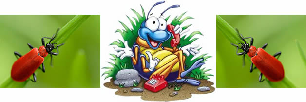 Revelan que los insectos se comunican entre sí por “teléfono”
