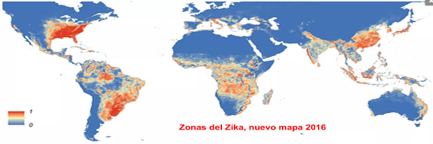 Nuevo descubrimiento contra el dengue, el chikungunya y el Zika, microsefalia