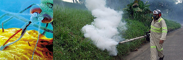 La lucha contra la resistencia del mosquito a los insecticidas. los mecanismos genéticos